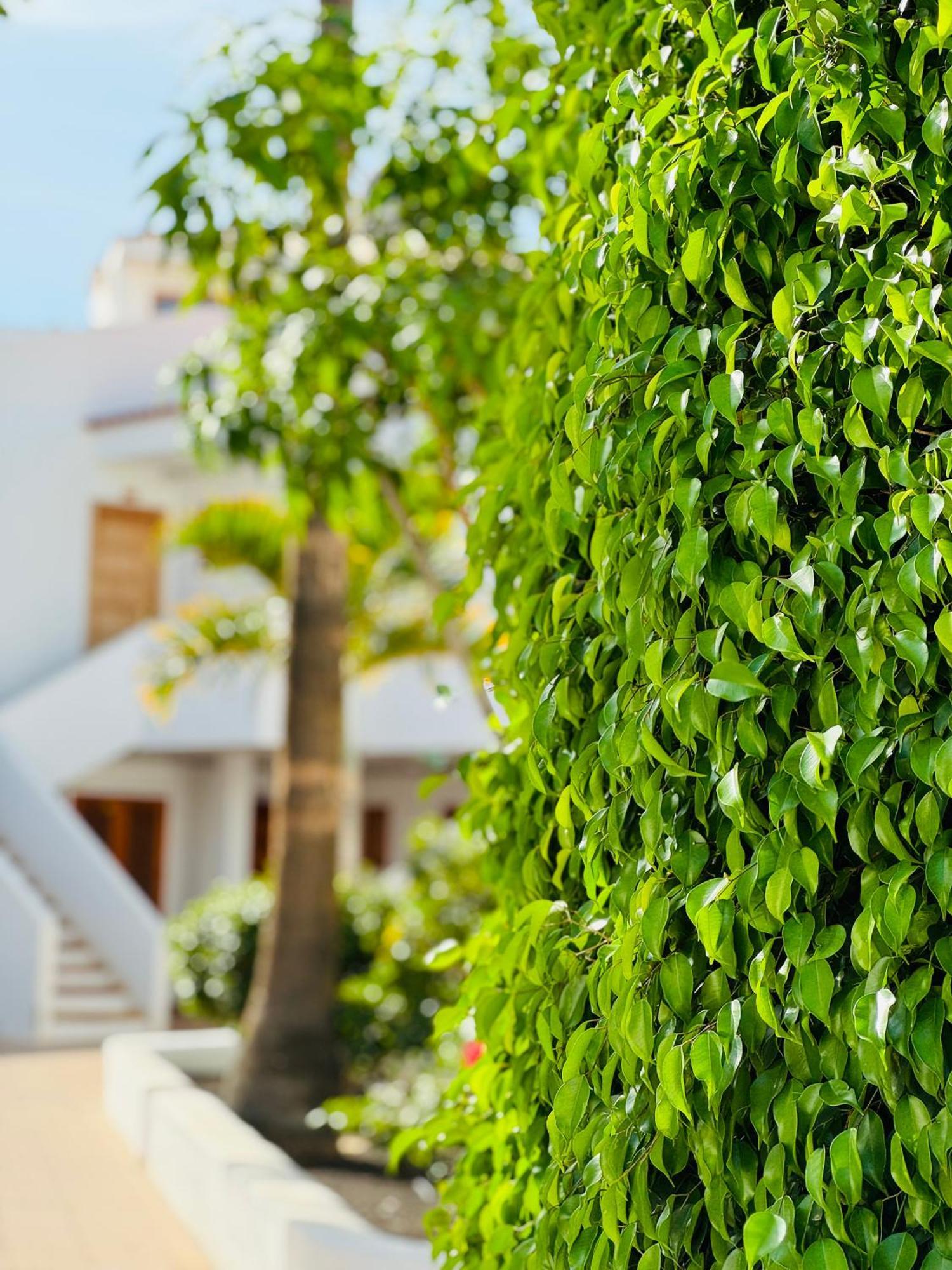 Garden City Private Apartment Costa Adeje Playa Feñabe Kültér fotó